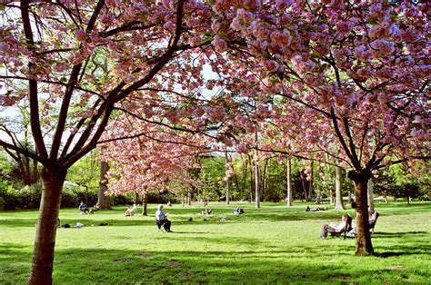 bois de boulogne nuit prix|Visiter le Bois de Boulogne